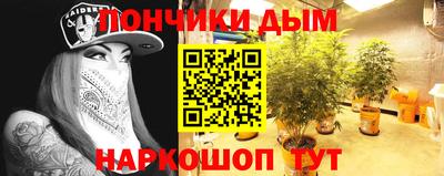 мдпв Татарск