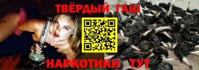 стаф Ставрополь