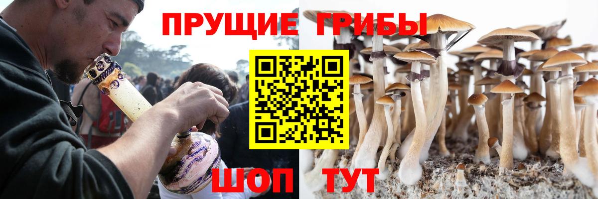 Шадринск  Псилоцибиновые грибы GOLDEN TEACHER  Вход с VPN 